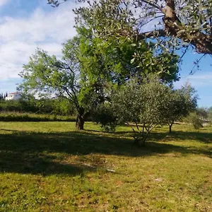 sm-camping.hotelinzadar.com/